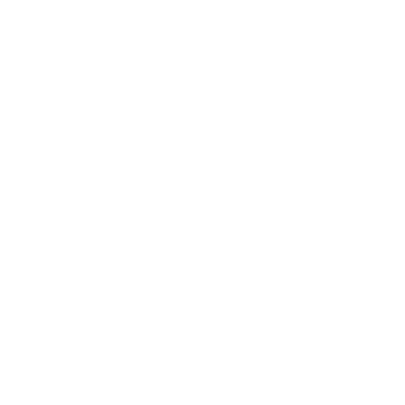 BDMS — Bangkok Dusit Medical Services