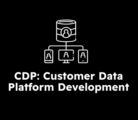 CDP Customer Data Platform Development